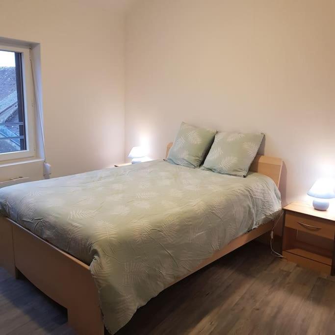 Chez Nino Wifi Gratuit Villa Beaulieu-sur-Loire Kültér fotó